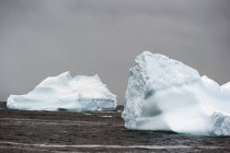 Icebergs en agua fría - foto de stock
