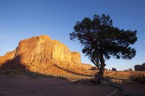 Baum und eine Felsformation — Stockfoto