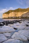 Скелі вздовж узбережжя, східний Йоркшир — стокове фото