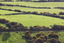 Paesaggio e terreni agricoli — Foto stock