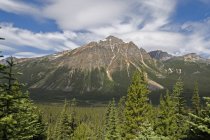 Канадские Скалистые горы — стоковое фото