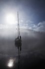 Sailboat at anchored in fog — Stock Photo