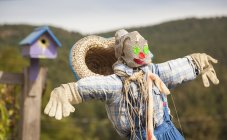 Scarecrow and birdhouse — Stock Photo