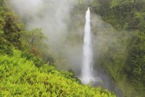 Wasserfall mit üppigen Bäumen — Stockfoto