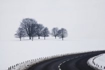 Straße kurvt durch Schneefeld — Stockfoto