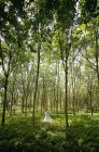 Девушка танцует в лесу — стоковое фото