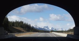 Wildlife tunnel over highway — Stock Photo