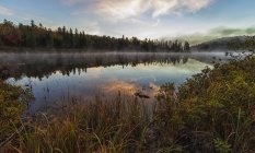 Mist rising over Costello Lake at dawn — Stock Photo