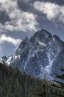 Mount peaks with trees — Stock Photo