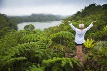 Una turista femenina se destaca entre las plantas tropicales que crecen alrededor de los lagos gemelos en el Parque Nacional de los lagos gemelos; Isla de Negros, Filipinas - foto de stock
