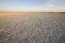 Terra seca durante o dia — Fotografia de Stock