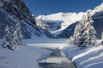 Schneebedeckter Bach; Lake Louise — Stockfoto