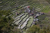 Terraços de arroz cercam a aldeia — Fotografia de Stock