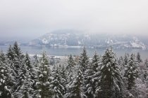 Перший сніг зими в Columbia River — стокове фото