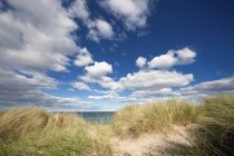 Playa cubierta de hierba contra el cielo nublado - foto de stock