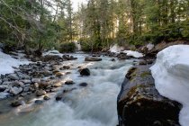 Wasser in einem Bach fließt über Felsen — Stockfoto