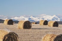 Hay Bales And Mountains — Stock Photo