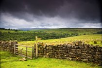 Каменный забор над зеленой травой — стоковое фото