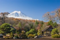 Vista do Monte Fuji de um jardim japonês — Fotografia de Stock