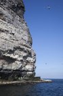 Alta parete rocciosa — Foto stock