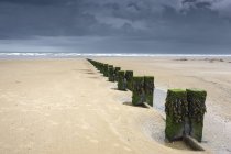 Песчаный пляж с колоннами — стоковое фото