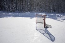 Hockey Net On Outdoor Ice Rink — Stock Photo
