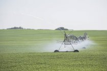 Linea di irrigazione Campo di spruzzatura — Foto stock