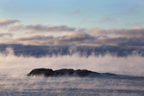 Зимний туман на озере — стоковое фото