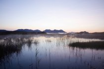 Восход солнца над болотом — стоковое фото