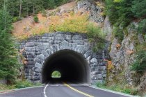 Túnel, Parque Nacional Monte Rainier - foto de stock