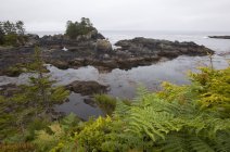 Paysages côtiers le long du Pacific Trail — Photo de stock