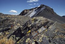 Sollevamento scisti con cluster di licheni — Foto stock