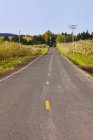 Uma estrada com pomares de ambos os lados — Fotografia de Stock