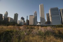 Skyline, Chicago, Illinois, EUA — Fotografia de Stock