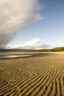 Sabbia increspata sulla spiaggia — Foto stock