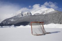 Хокейна мережа на відкритому льоду Rink — стокове фото
