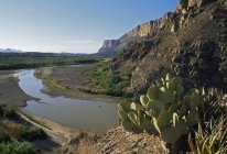 Каньон с рекой и кактусом — стоковое фото