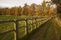 Tire Tracks Along Fence In Rural Area — Stock Photo