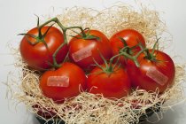 Tomates em uma cesta com etiquetas — Fotografia de Stock