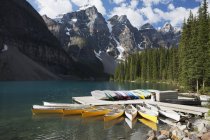 Canoas ao redor doca no lago — Fotografia de Stock