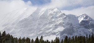 Montanha coberta de neve sobre a floresta — Fotografia de Stock
