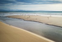 Піщаний берег моря мальовничі — стокове фото