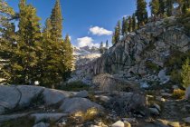 Indietro Paese delle montagne della Sierra Nevada, Sequoia National Pa — Foto stock