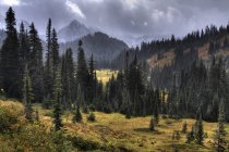 Vista del Monte Rainier - foto de stock