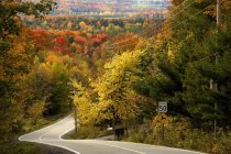 Estrada rural através da floresta de outono — Fotografia de Stock