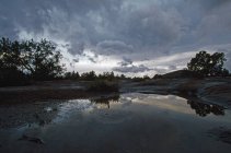 Бассейн с деревьями — стоковое фото