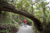 Un trekking uomo lungo il Wild Pacific Trail; Ucluelet, isola di Vancouver, Columbia britannica, Canada — Foto stock