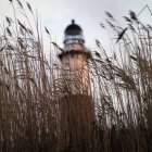 Пшениця проти маяка на відкритому повітрі — стокове фото