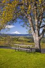 Mount Hood And Hood River Valley — Stock Photo