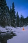 Albero di Natale incandescente — Foto stock